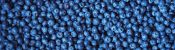 Antioxidanten